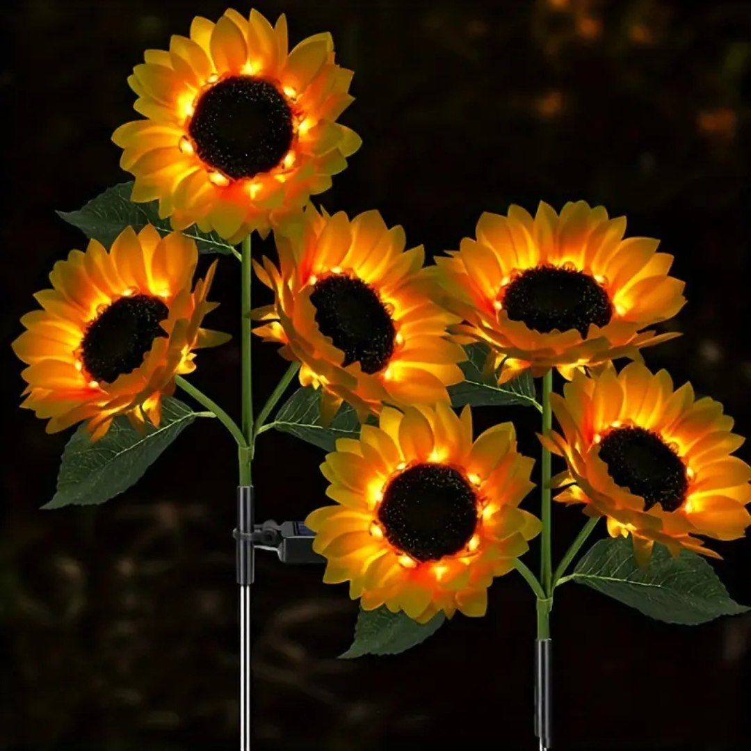 Liora Solar Garden Light – Automatic Outdoor LED Stake for Charming Ambiance 0