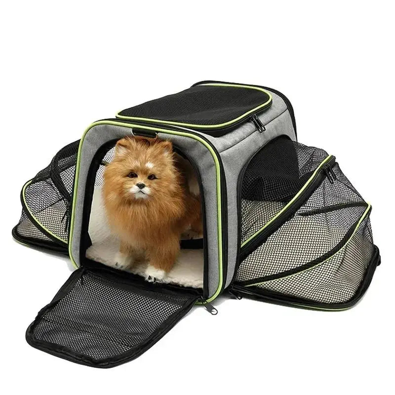 Proway Cat Carrier – Expandable Breathable Design for Comfortable Travel 8