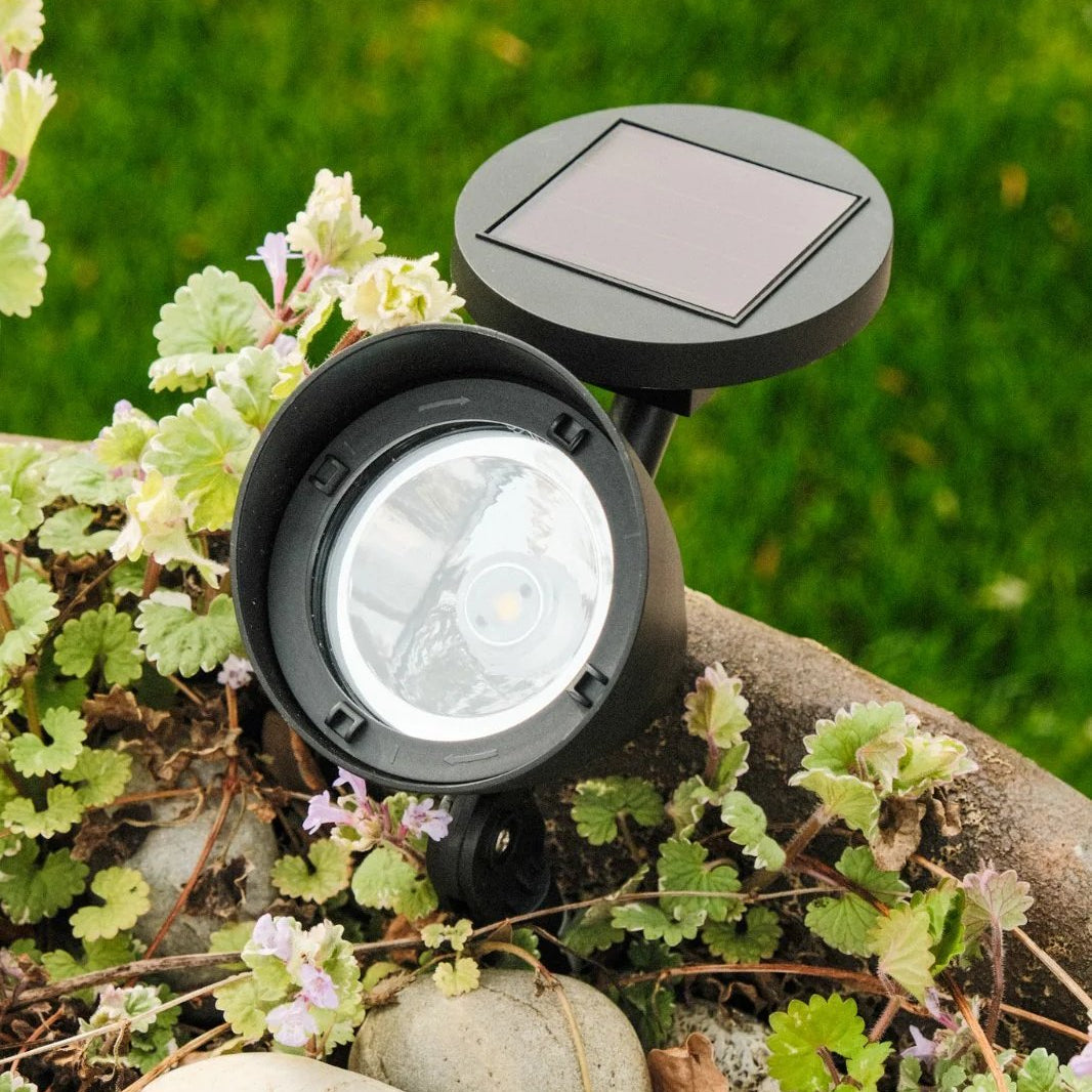 Solaris Outdoor Solar Garden Lights – Eco-Friendly Automatic Illumination 3