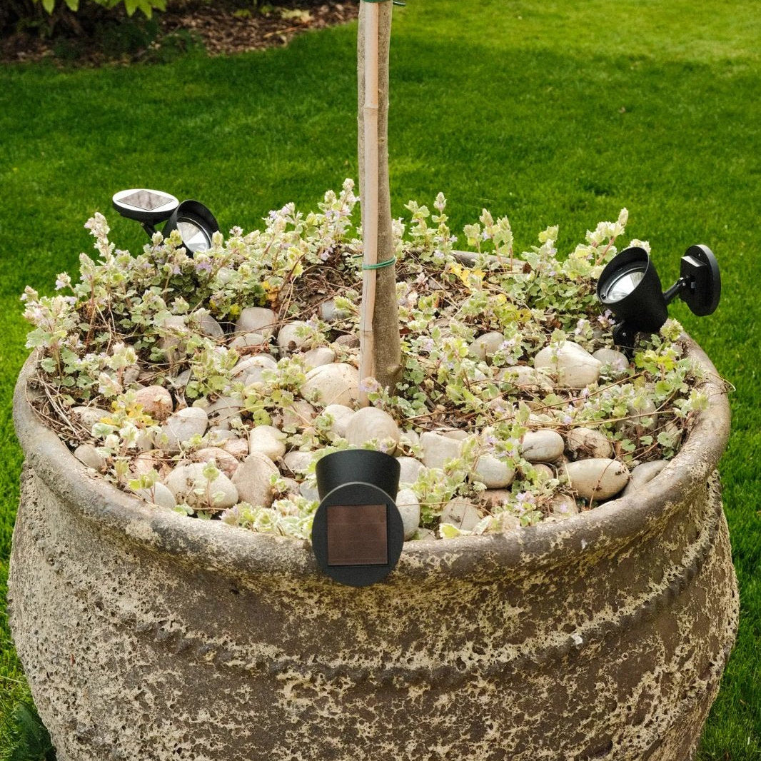 Solaris Outdoor Solar Garden Lights – Eco-Friendly Automatic Illumination 7
