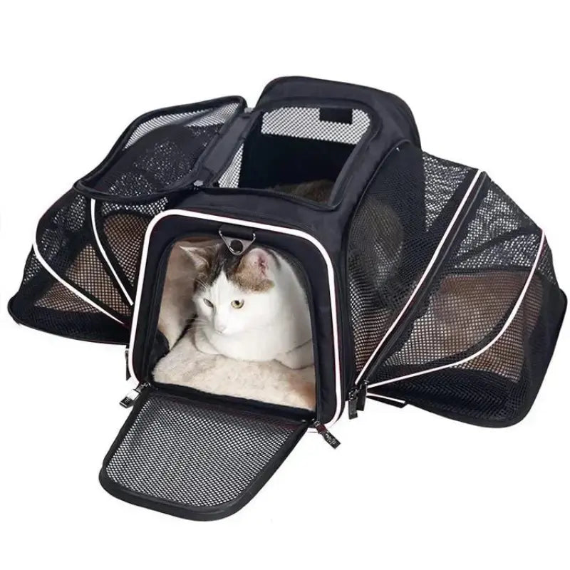 Proway Cat Carrier – Expandable Breathable Design for Comfortable Travel 7