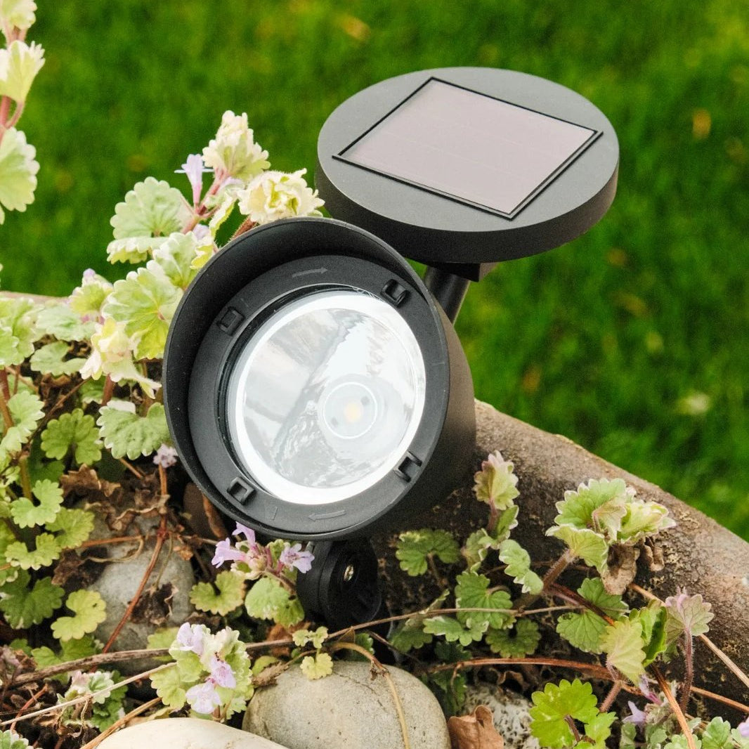 Solaris Outdoor Solar Garden Lights – Eco-Friendly Automatic Illumination 0