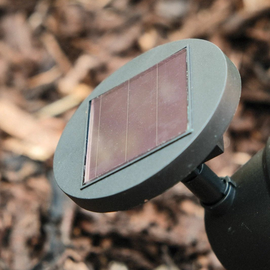 Solaris Outdoor Solar Garden Lights – Eco-Friendly Automatic Illumination 2