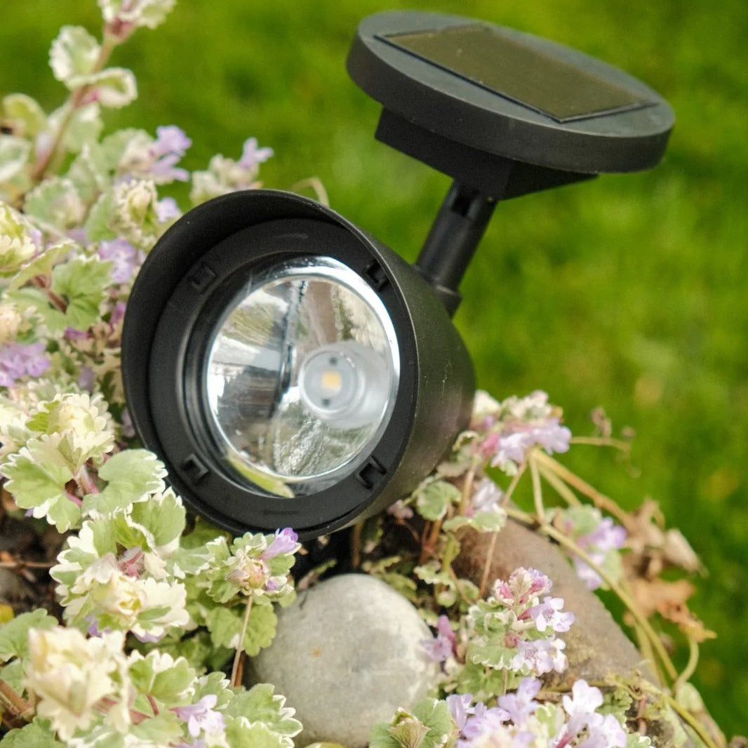 Solaris Outdoor Solar Garden Lights – Eco-Friendly Automatic Illumination 6